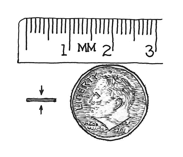 Sketch showing approximate size of Abri du Maras artifact.