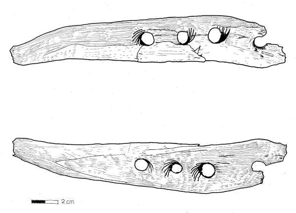 Sketch of Hohle Fels cave artifact.