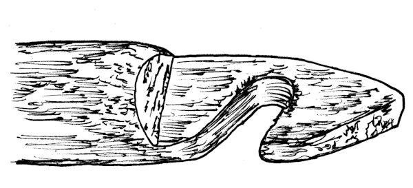 Hook end of a Wooden Crank.