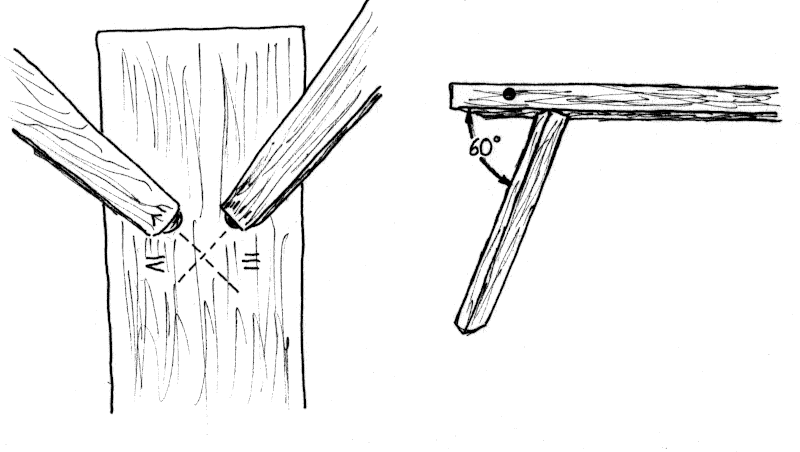 Sketch with layout of bench legs.