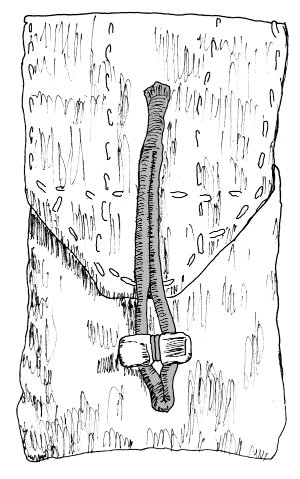 Sketch of an 18th Century Cell Phone Case.