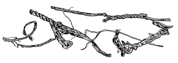 Rope Scraps.