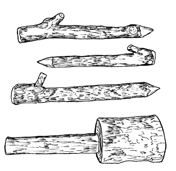 Tent Stakes
