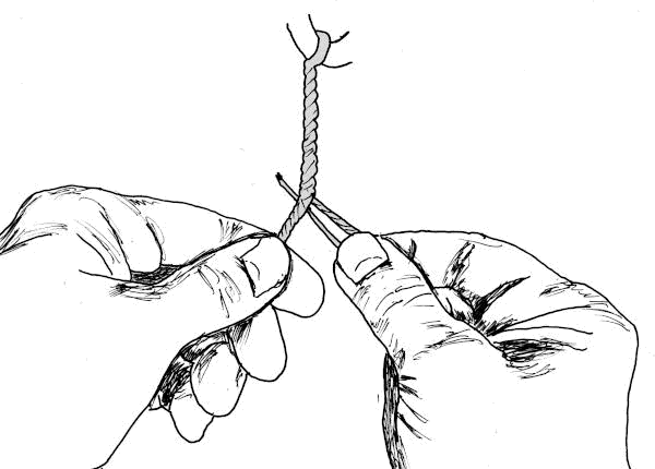 Sketch showing addition of more fibers to one bundle during hand twisting.