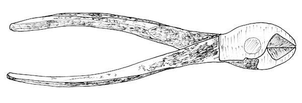 A pair of wire cutters.